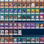 遊戯王　vsk9　デッキ 日本選手権　日本代表構築！　ガチ使用　優勝経験あり 遊戯王 vsk9 デッキ 日本選手権 日本代表構築！ ガチ使用 優勝経験あり