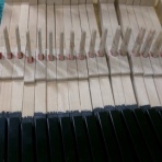 しまなみpianoのblog