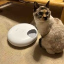 うちのこエレクトリック