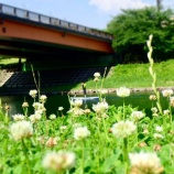 ��SUP�θ�&�������ĥ꡼���̡��ĥ��� ��6��3���ܡ��٤β���