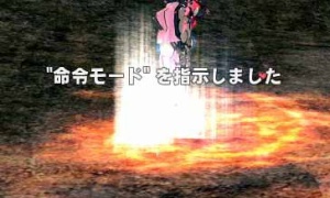 ペット経験値2倍イベントで主人の獲得経験値の半分がペットに入る