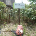 船山