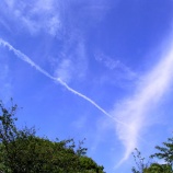 『消費税の増税前 駆け込み購入』の画像