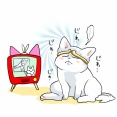 暑すぎて凍えるヤツ