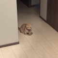 感謝と反省…(°_°)