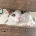 【人選ミス】癌の友人「娘が高校卒業する時、成人式の時、大学卒業する時、結婚する時、子供を産んだ時にこれを渡して」→手紙どっかいっちゃったｗごめんよーｗ探してないけどねｗ