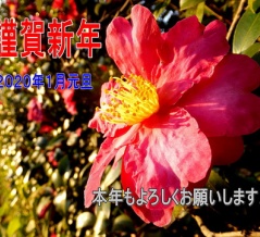 明けましておめでとうございます。