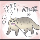 マロちゃんの幻の姿が見たい