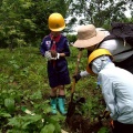 6月１日　オイスカ合同植樹活動　参加