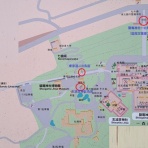 努力の上に花は咲くⅡ