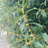 『職場の雰囲気　vol.4190』の画像