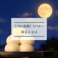 中秋の名月＆水っぽくならないごぼうサラダ【ごはん記録9/14～】