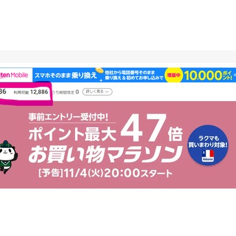 不正アクセスで狙われたのは・・・ビックリ!!の「〇〇ポイント」
