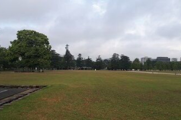 第59回愛媛マラソン大会要領発表 かずまるのblog