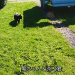 ソワレが要らないフランス暮らし