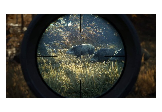 『The Hunter』っていうガチの狩りゲー知ってる人いる？