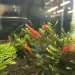 THE INFORMATION ＯＦ　『H2 TOYOSU』