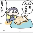 猫の夏バテが心配なのです
