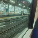 猫買っちゃった