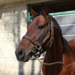 スライムの競馬ブログ