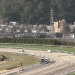 さておき競馬まとめ