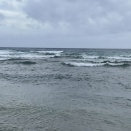 １１月７日　　　　もう少しかな～～～