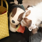 華・あず＆レン