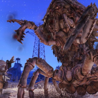 Event: Swarm of Suitors