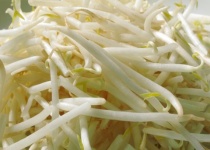 一人暮らししとる奴で1日の食費1000円以内に抑えるなんて不可能やろ？