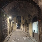 Politologue Sans Frontieres 「国境なき政治学者」