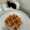 【ご飯日記】99セントのとうもろこし・冷凍ワッフル