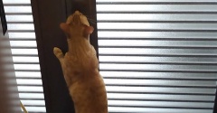 まるは気になっている