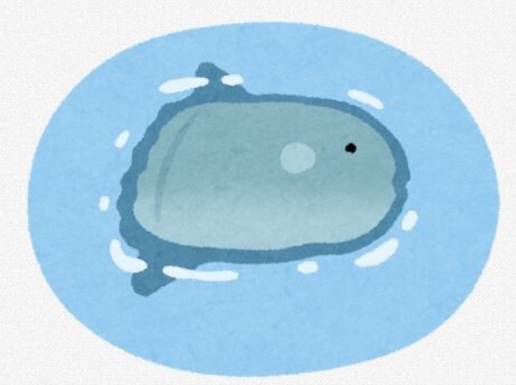海外メディア「日本の水族館ではマンボウが寂しくて体調を崩しました。」