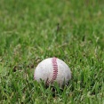 ワイ、野球の面白さが全く理解できない
