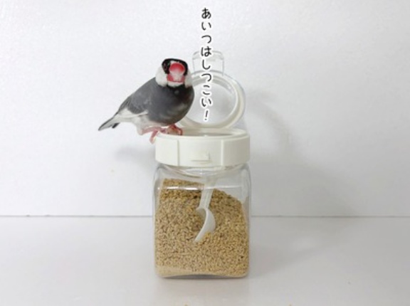 セラへのご褒美が…