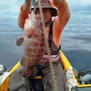 毎日が日曜日、今日は何する