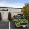 車を迷彩にしたら…