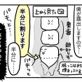 親知らずを抜こうと思っただけなのに⑥【歯茎を切って、歯を割る。】