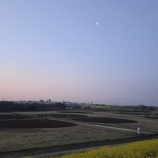 『3月23日(日)、本日のグラウンド利用について』の画像