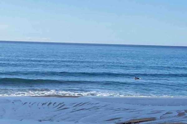 Faith Surf フェイスサーフ