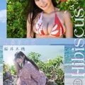 ミス理科大に出場していた綺麗な谷間の花柄ビキニ水着美女！Hibiscus 桜井木穂