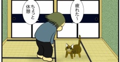 【猫との暮らし】すかさず甘える猫