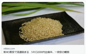 【コメ】新米5割安で流通始まる　5キロ2000円台後半、一段安の観測