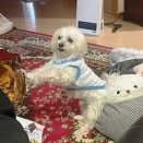 お久しぶりです！