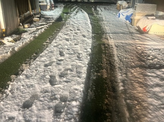 雪は止みましたので一安心です。😅👌