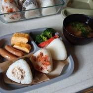 ものは考えよう。と、レッドの波石つくりました。