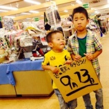 ��ȿ�ʡ���ʹ����ꥢ�󥱡���Ĵ���٤β���