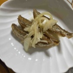 ◎あじさい荘は今日もワイワイしてる◎