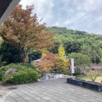 さしもも日記☆坂の上の雲の松山市から