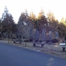 今日も逆光だった